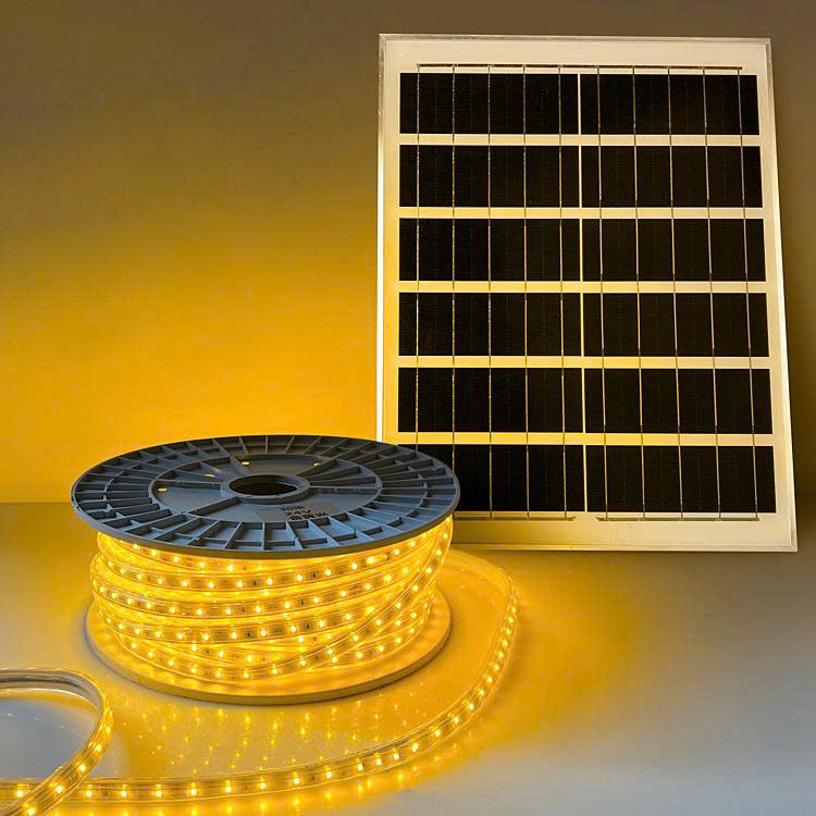 ĐÈN LED CUỘN NHẤP NHÁY LD21-30V - Ảnh 2